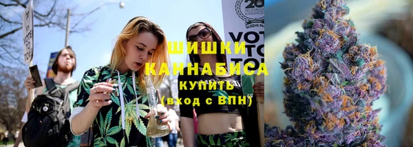 PSILOCYBIN Белокуриха