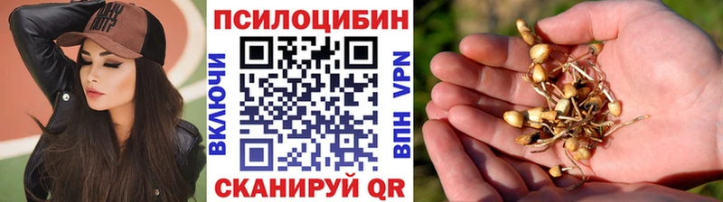Псилоцибиновые грибы мухоморы  Мещовск 